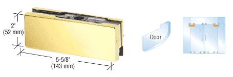 CRL Polished Brass Finish Mid-Size Top Door Patch Fitting for use with 3/8" Glass