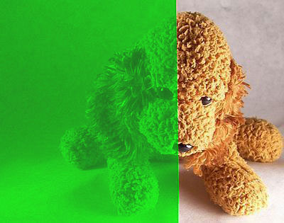 Translucent Green Color Window Film 12" Wide x 6.5 ft. Roll