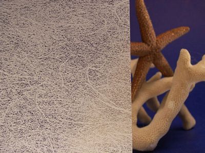 Shoji Translucent Gossamer Decorative Privacy Window Film 36" Wide x 1yd. Sold by the yard as one continuous roll.