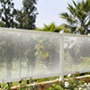 Decorative Window Film - Window Film Products