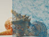 Blue Gossamer Privacy Decorative Window Film